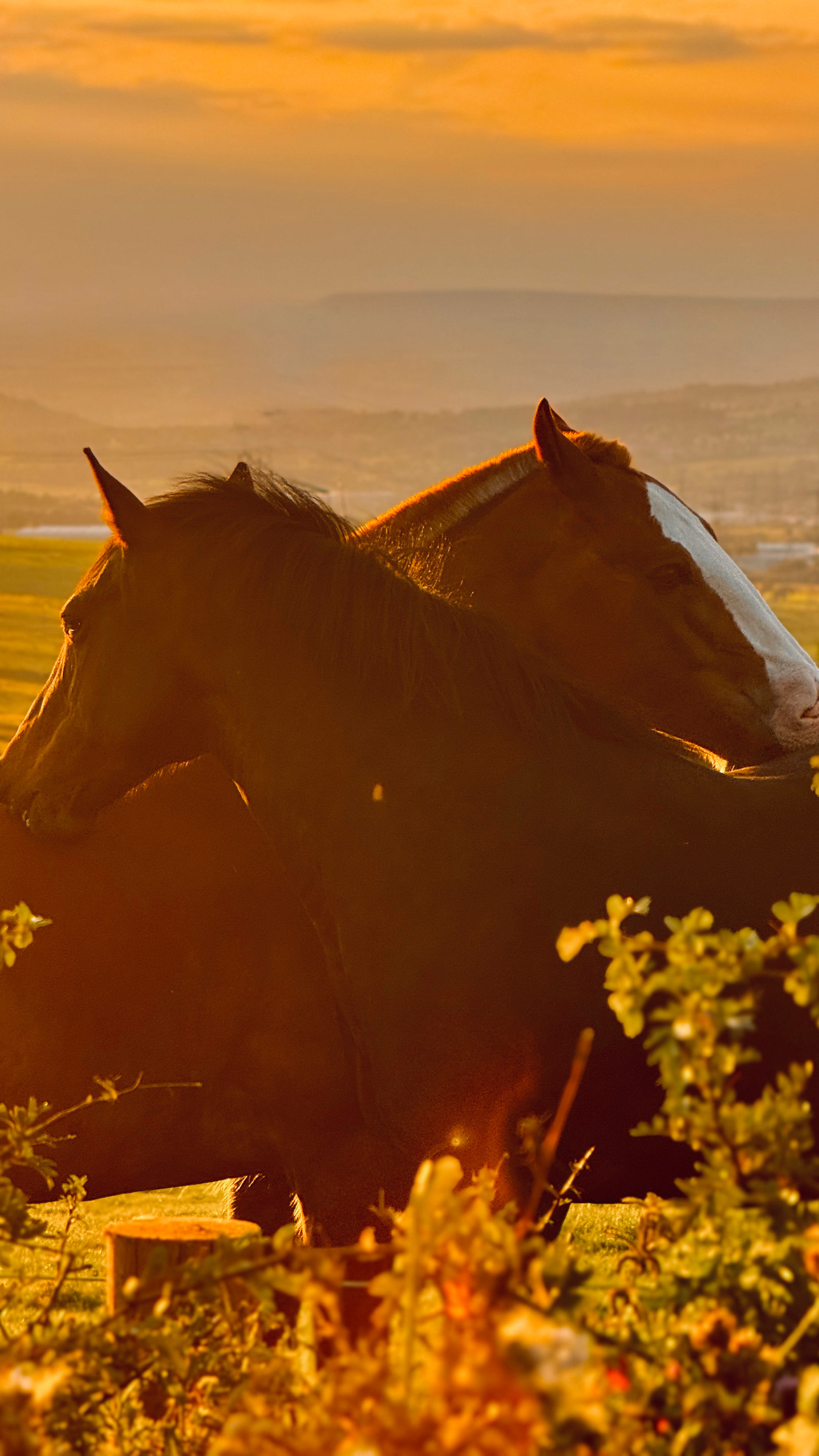 45F0CB5C-724F-48E2-B34A-AFEBFC8B895E