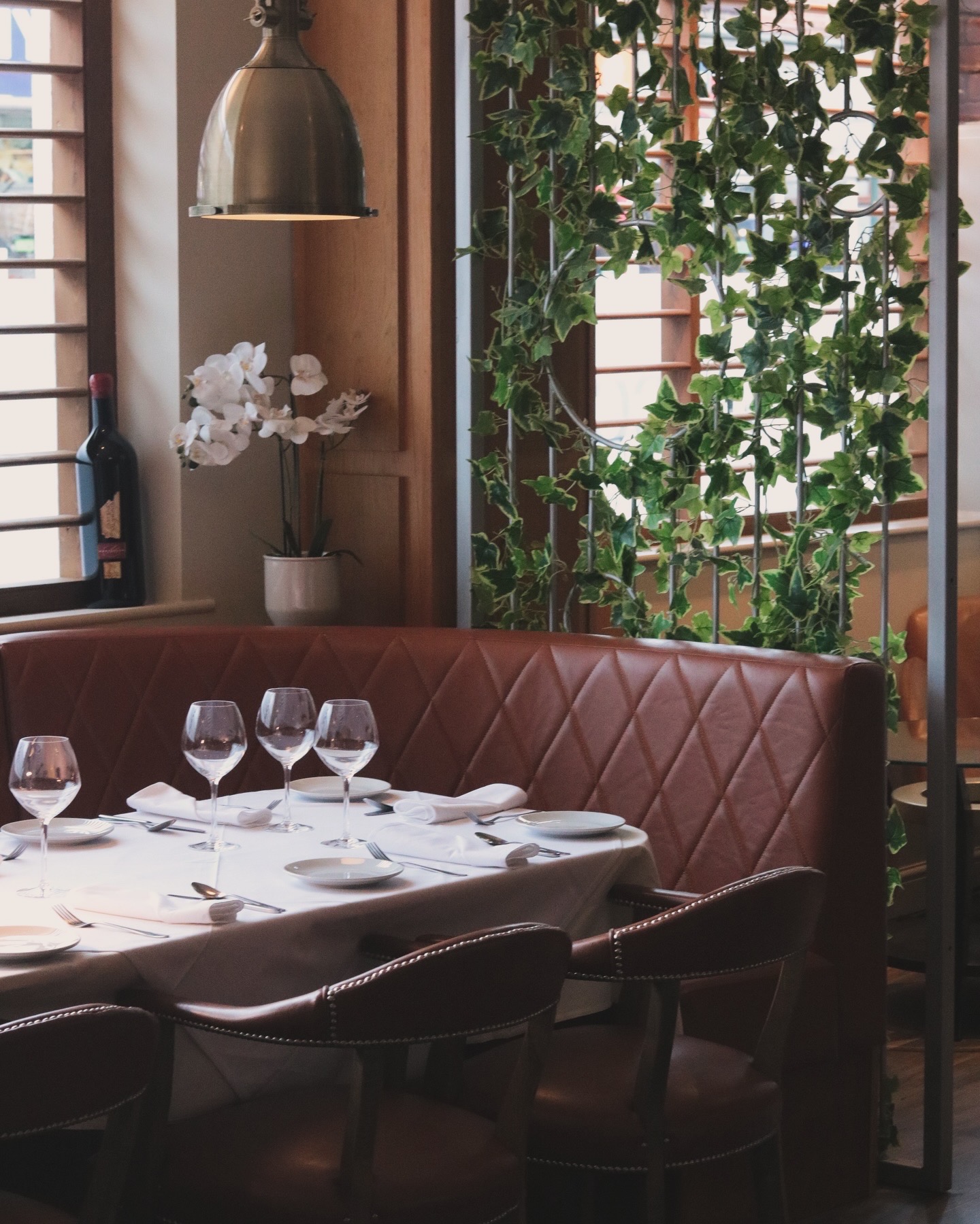 F421A81F-677B-4BDD-8397-08715BBE90CD